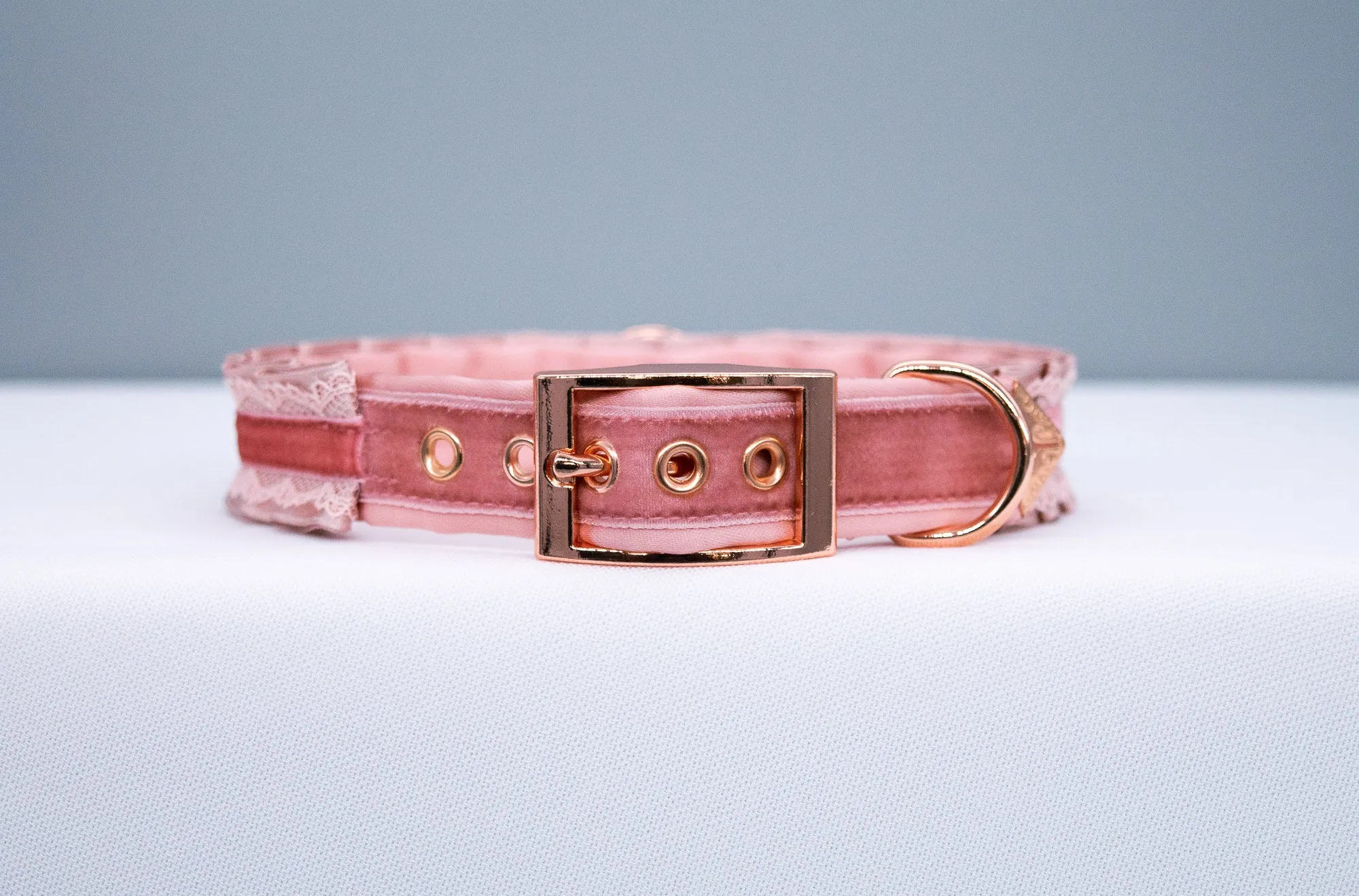 Chained Blush Velvet and Dusty Rose Bows - BDSM Collar in Rose Gold