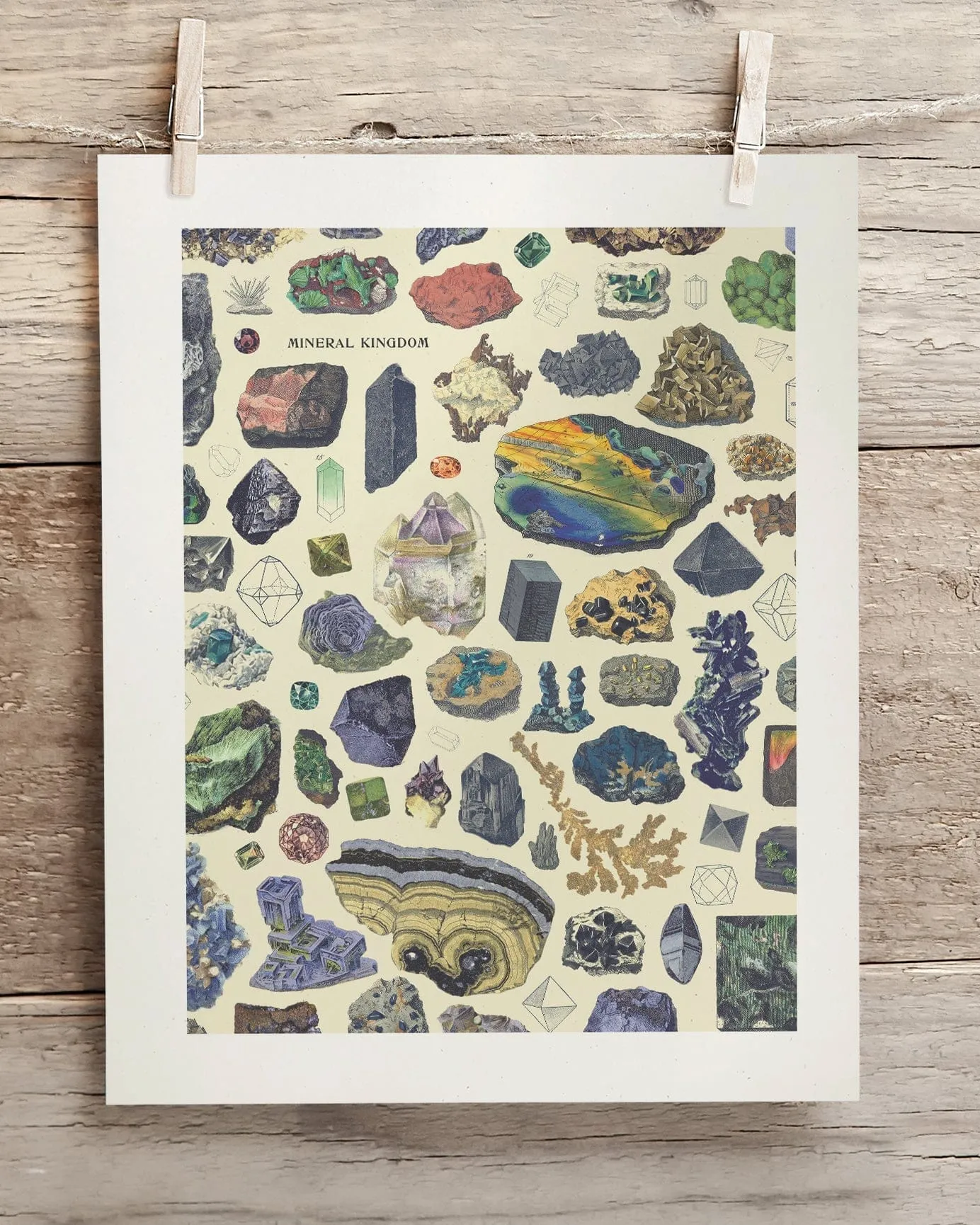 Gems & Minerals Scientific Illustration Museum Print