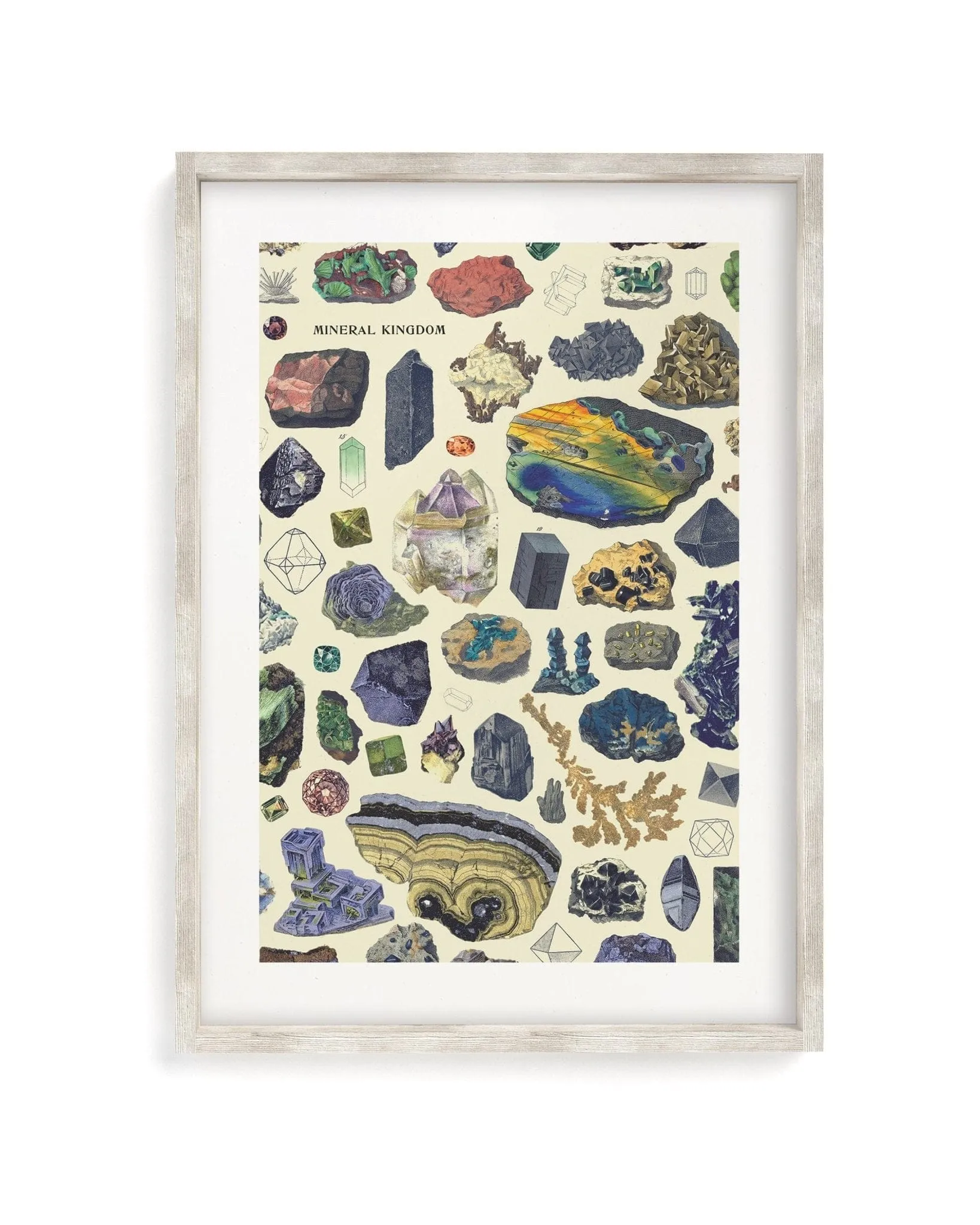 Gems & Minerals Scientific Illustration Museum Print