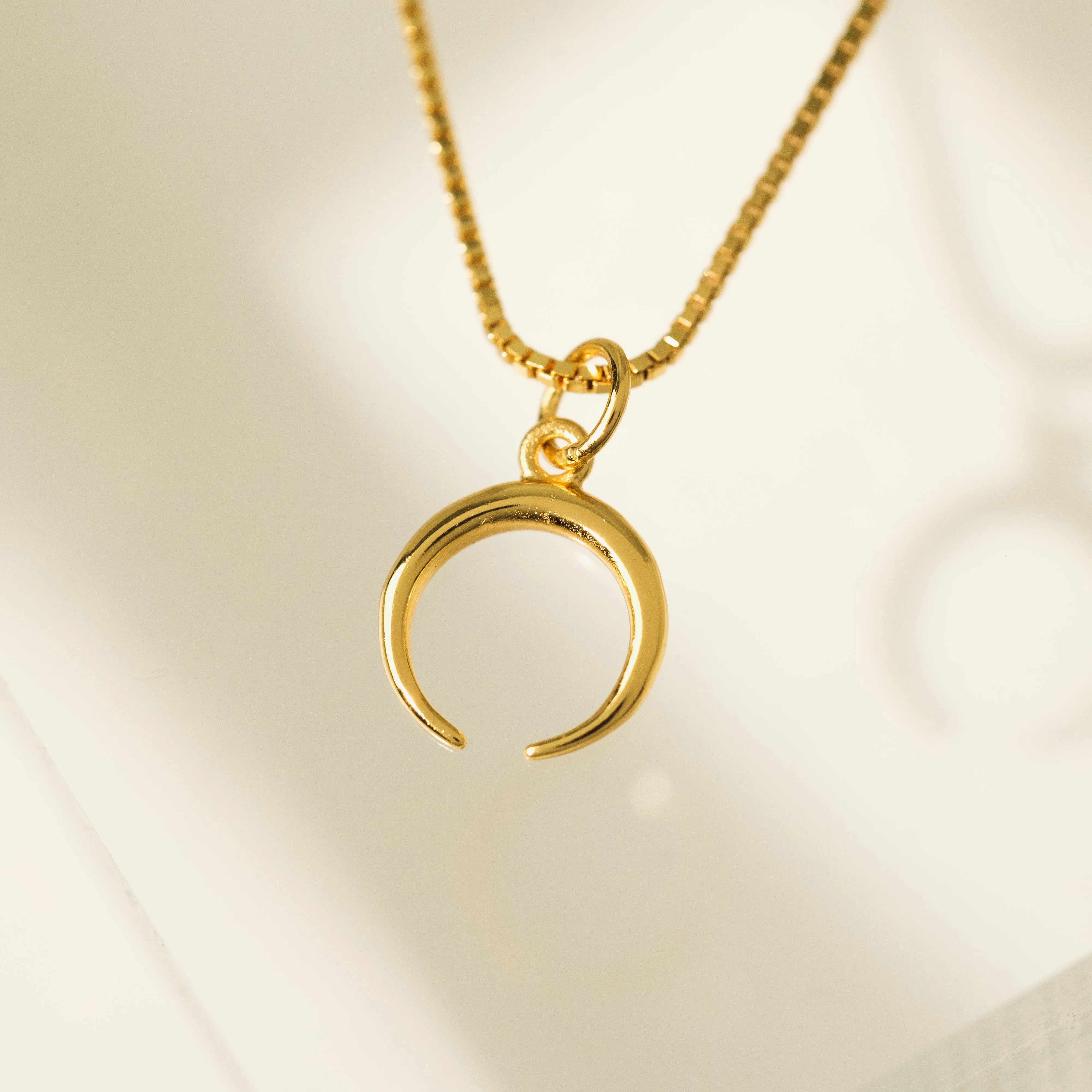 Horn Charm Necklace