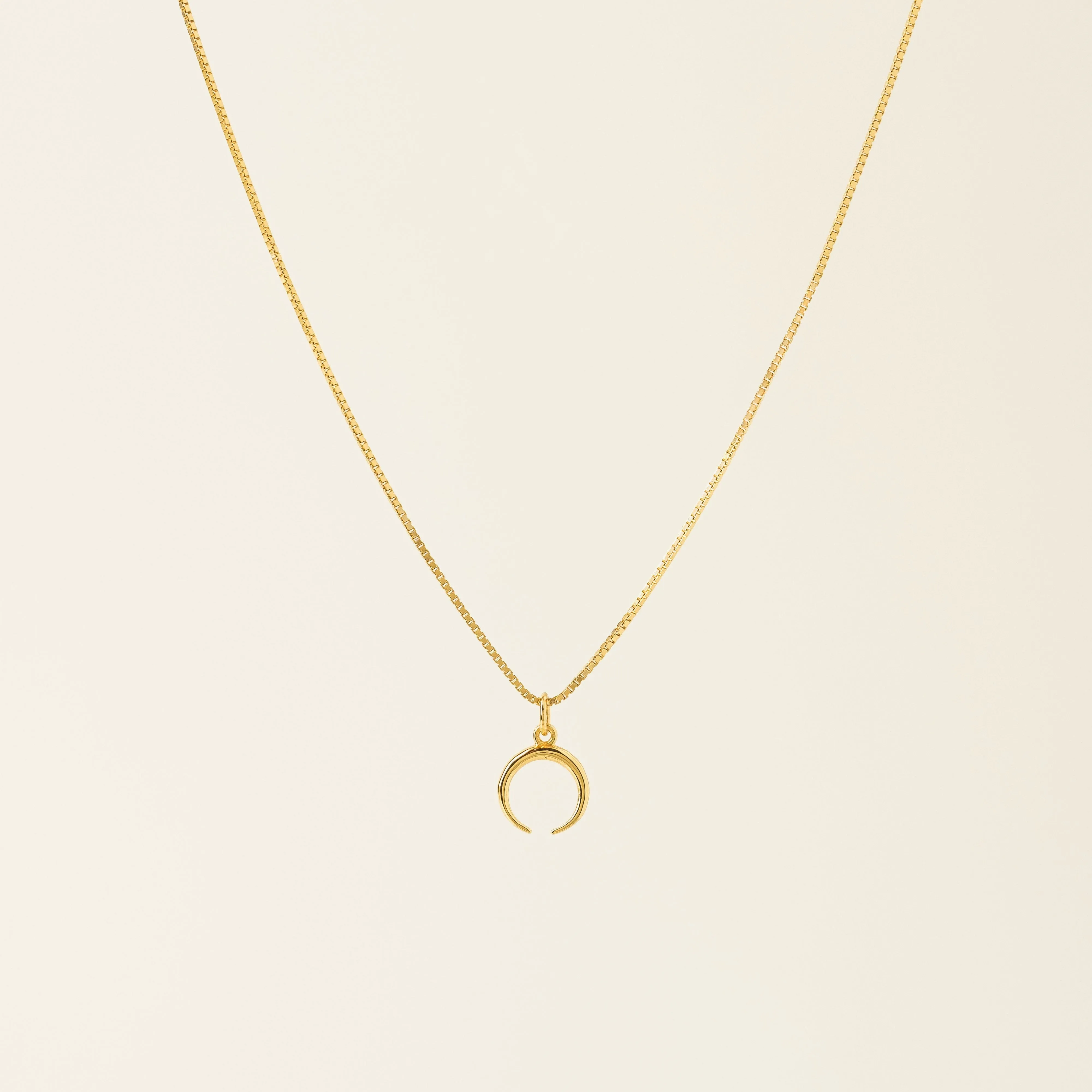Horn Charm Necklace