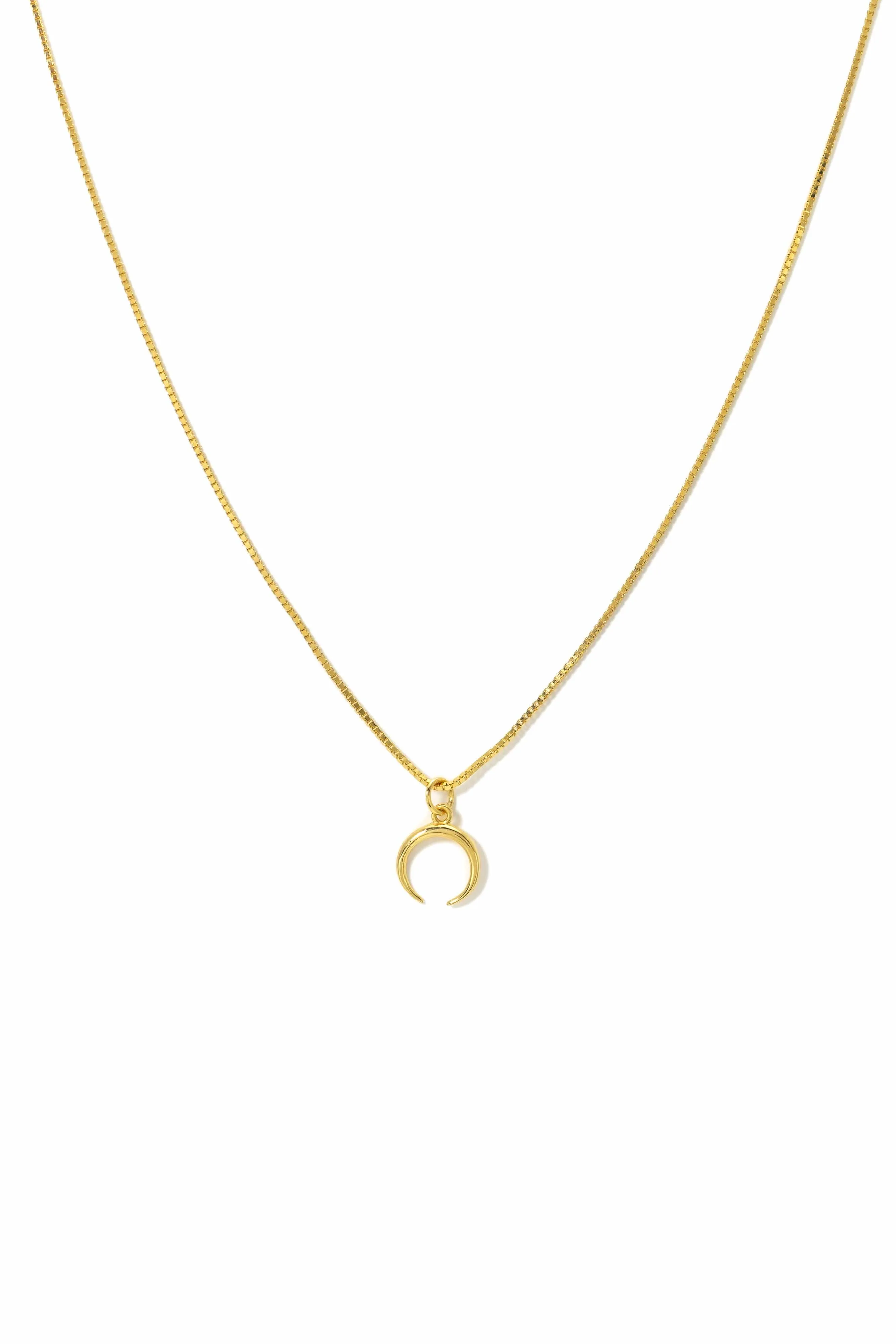 Horn Charm Necklace