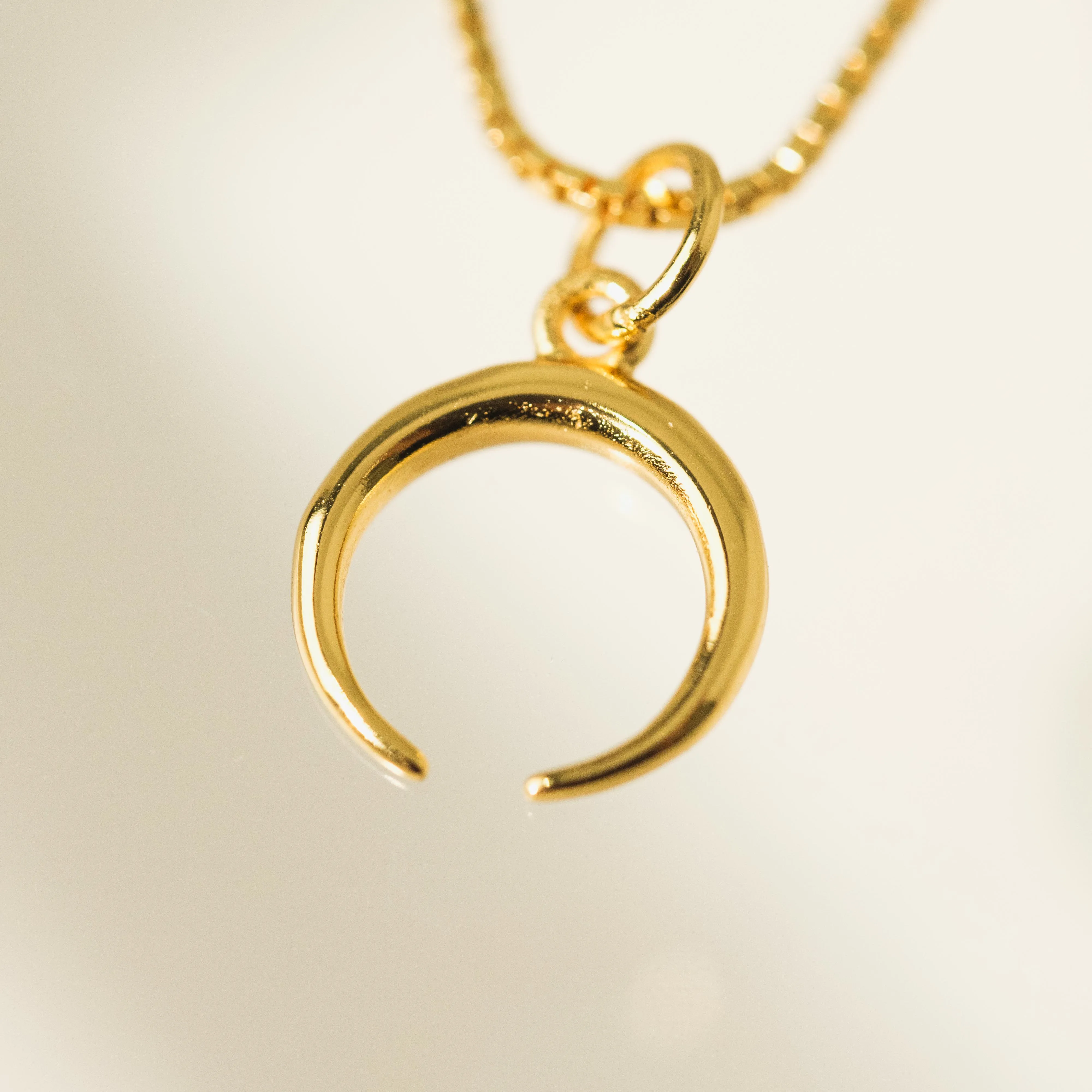 Horn Charm Necklace