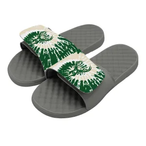 Milwaukee Bucks Slides