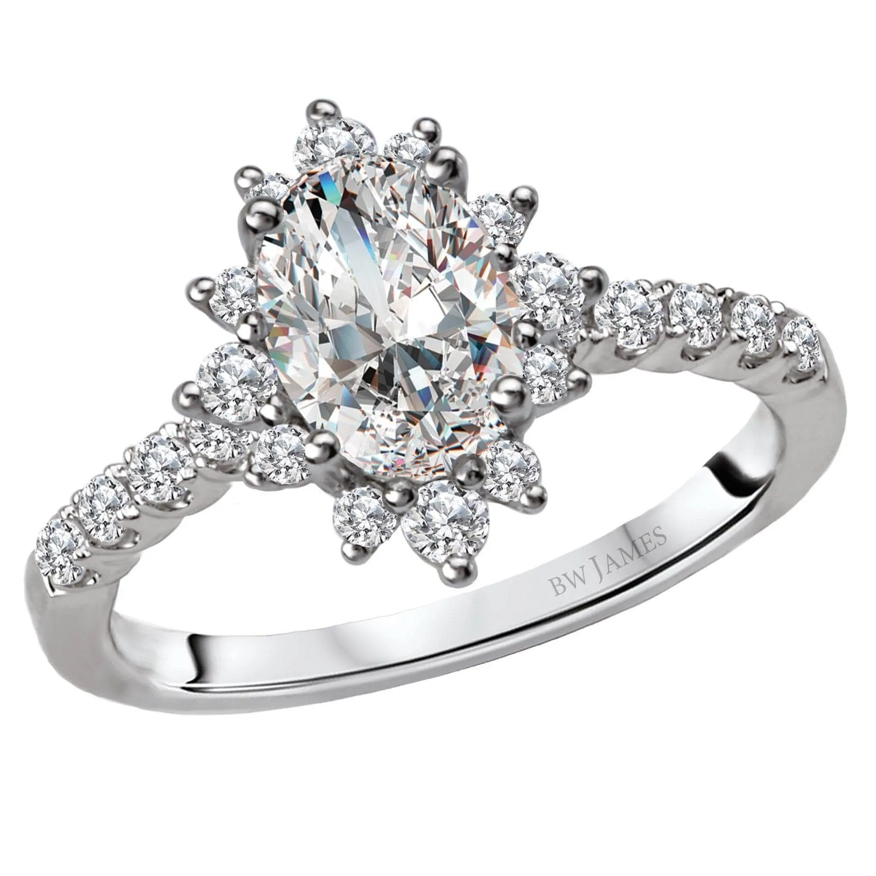 " The Argentina" Halo Semi-Mount Diamond Ring