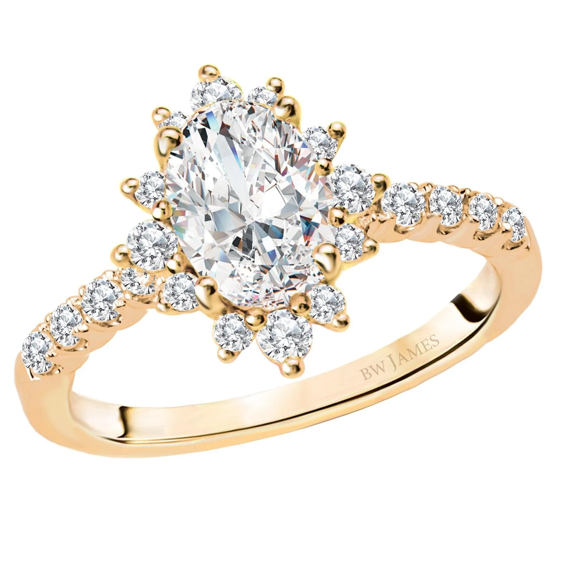 " The Argentina" Halo Semi-Mount Diamond Ring